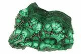 Flowery Polished Malachite Slab - DR Congo #266809-1